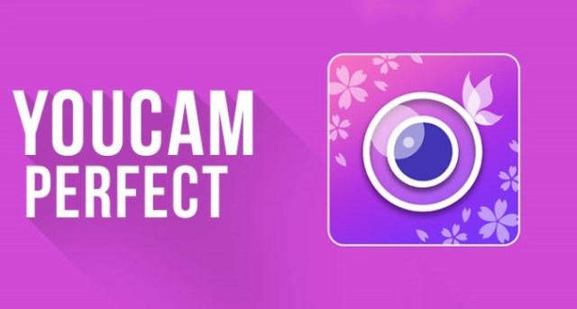 descargar YouCam Perfect Pro